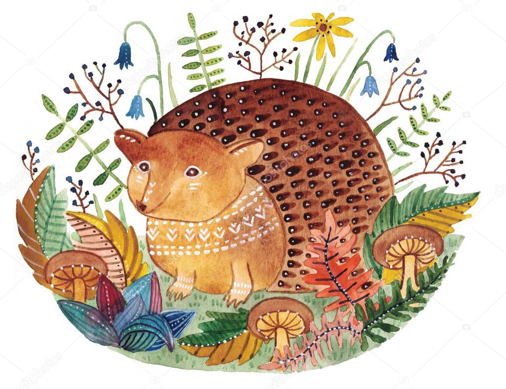 Hedgehog watercolor illustration hand drawn