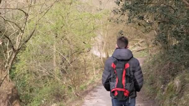Ο νεαρός με το σακίδιο περπατά κατά μήκος ενός μονοπατιού του δάσους. — Αρχείο Βίντεο