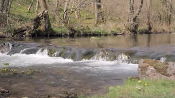 Il fiume di montagna scorre oltre la soglia — Video Stock