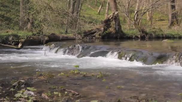 Il fiume di montagna scorre oltre la soglia — Video Stock