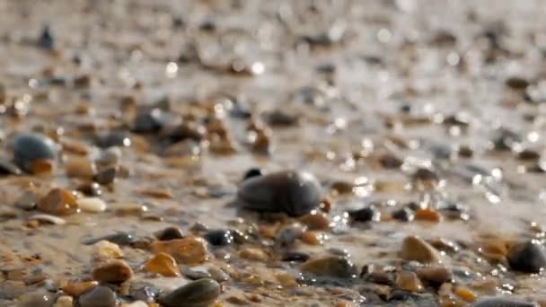 Crystal clear stream flows over the pebbles. Close up — Stock Video