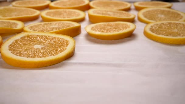 Mettre à la main des tranches d'orange sur du papier cuisson. Gros plan . — Video