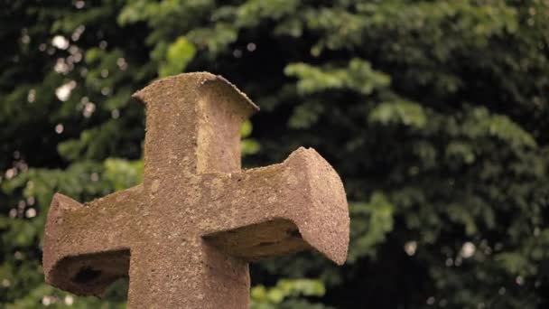 Cruz de pedra antiga contra o fundo de galhos de árvores tremulantes — Vídeo de Stock