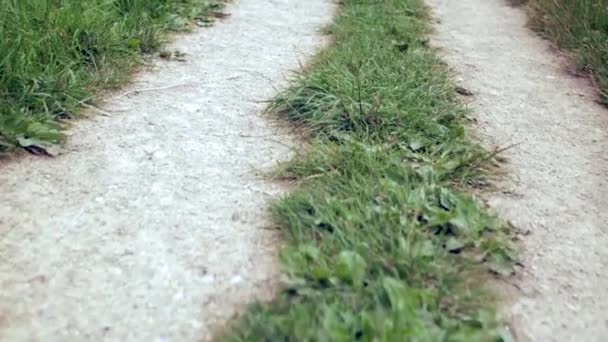 Rutschpartie über Schotterstraße und Gras — Stockvideo