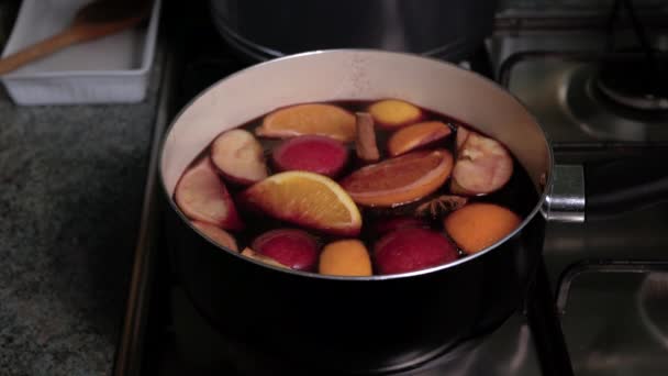 Preparation of mulled wine. Saucepan with wine stands on the gas cooker and begins to boil. Steam from wine soar over the saucepan. Female hands add to the saucepan cinnamon sticks and anise stars. — ストック動画