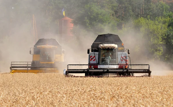 Combine Removes Wheat Sunny Summer Day — Stock Photo, Image