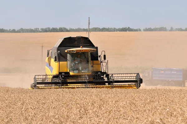 Combine Removes Wheat Sunny Summer Day — Stock Photo, Image