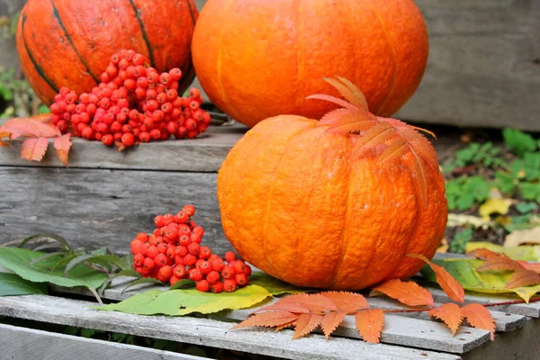 Tökfej Tök Halloween Narancs Ősz Október Kert Zöldségek Vegetáriánus Betakarítás — Stock Fotó