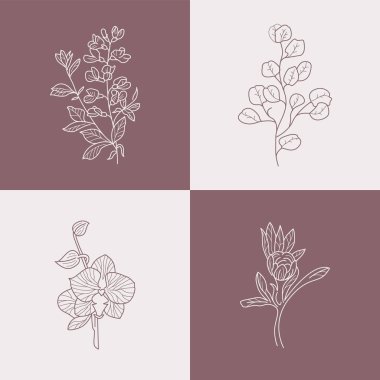 Soyut Çiçek Vektör İşaretleri veya Logo Şablonları. Klasik tipografi ile Retro Floral Illustration. Kadın logosu. Çiçekçi, fotoğrafçı, moda blogcusu, tasarım stüdyosu için Modern Logo Şablonu.