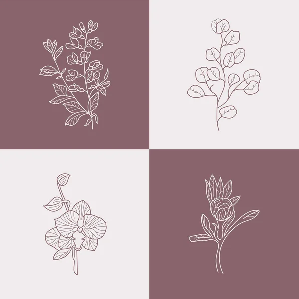 Abstraktní Květiny Vektorové Značky Nebo Šablony Loga Retro Květinová Ilustrace — Stockový vektor