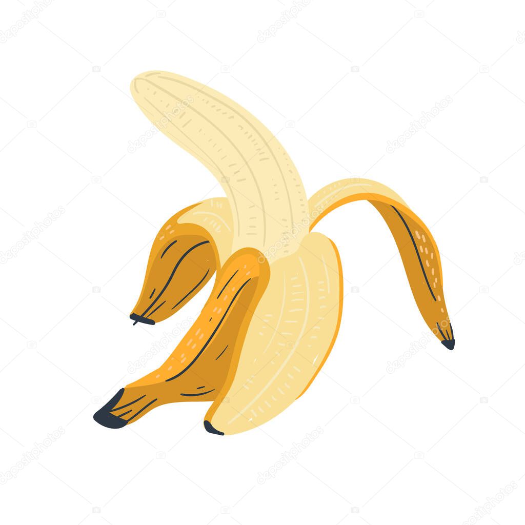 Banana isolated on a white background. Hand draw cartoon Scandinavian nordic design style for fashion or interior or cover or textile or background.