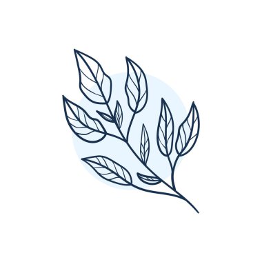 El Çizilmiş Minimalist ve Çiçek Şablon fotoğrafçı, moda blogger, tasarım stüdyosu, iç tasarım için. Markakimlik koleksiyonu . Çiçek dişil unsur. çiçek clipart