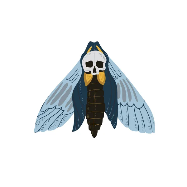Kelebek Ölü Kafa Cadılar Bayramı Takımı Çizimi Çizimi Karikatür Vektör — Stok Vektör
