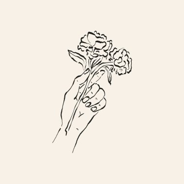 Botanik çizimi. Minimum bitki logosu, botanik çizim çizimi, çayır yeşilliği, yaprak ve çiçek açan soyut çizim elemanları koleksiyonu, köy dalı. Moda küçük dövme tasarımı, çiçek elementleri vektör illüstrasyonu