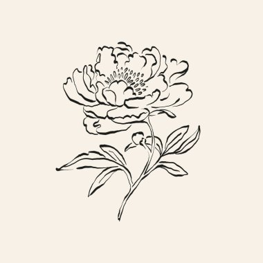 Botanik çizimi. Minimum bitki logosu, botanik çizim çizimi, çayır yeşilliği, yaprak ve çiçek açan soyut çizim elemanları koleksiyonu, köy dalı. Moda küçük dövme tasarımı, çiçek elementleri vektör illüstrasyonu