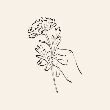 Botanik çizimi. Minimum bitki logosu, botanik çizim çizimi, çayır yeşilliği, yaprak ve çiçek açan soyut çizim elemanları koleksiyonu, köy dalı. Moda küçük dövme tasarımı, çiçek elementleri vektör illüstrasyonu