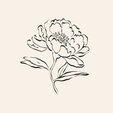 Botanik çizimi. Minimum bitki logosu, botanik çizim çizimi, çayır yeşilliği, yaprak ve çiçek açan soyut çizim elemanları koleksiyonu, köy dalı. Moda küçük dövme tasarımı, çiçek elementleri vektör illüstrasyonu