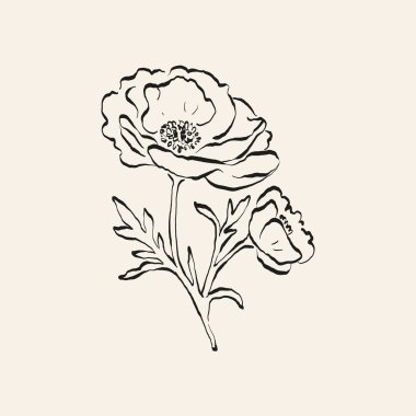 Botanik çizimi. Minimum bitki logosu, botanik çizim çizimi, çayır yeşilliği, yaprak ve çiçek açan soyut çizim elemanları koleksiyonu, köy dalı. Moda küçük dövme tasarımı, çiçek elementleri vektör illüstrasyonu