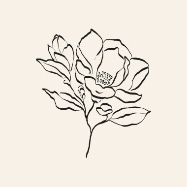 Botanik çizimi. Minimum bitki logosu, botanik çizim çizimi, çayır yeşilliği, yaprak ve çiçek açan soyut çizim elemanları koleksiyonu, köy dalı. Moda küçük dövme tasarımı, çiçek elementleri vektör illüstrasyonu