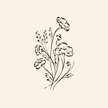 Botanik çizimi. Minimum bitki logosu, botanik çizim çizimi, çayır yeşilliği, yaprak ve çiçek açan soyut çizim elemanları koleksiyonu, köy dalı. Moda küçük dövme tasarımı, çiçek elementleri vektör illüstrasyonu