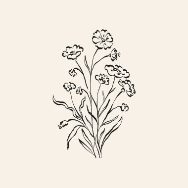 Botanik çizimi. Minimum bitki logosu, botanik çizim çizimi, çayır yeşilliği, yaprak ve çiçek açan soyut çizim elemanları koleksiyonu, köy dalı. Moda küçük dövme tasarımı, çiçek elementleri vektör illüstrasyonu