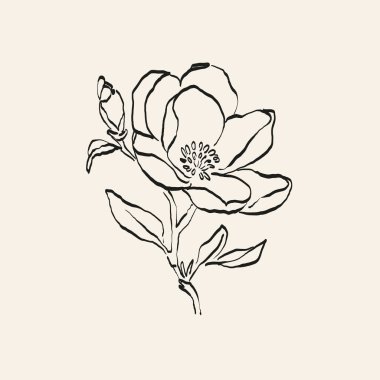 Botanik çizimi. Minimum bitki logosu, botanik çizim çizimi, çayır yeşilliği, yaprak ve çiçek açan soyut çizim elemanları koleksiyonu, köy dalı. Moda küçük dövme tasarımı, çiçek elementleri vektör illüstrasyonu