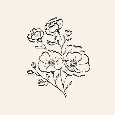 Botanik çizimi. Minimum bitki logosu, botanik çizim çizimi, çayır yeşilliği, yaprak ve çiçek açan soyut çizim elemanları koleksiyonu, köy dalı. Moda küçük dövme tasarımı, çiçek elementleri vektör illüstrasyonu