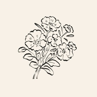 Botanik çizimi. Minimum bitki logosu, botanik çizim çizimi, çayır yeşilliği, yaprak ve çiçek açan soyut çizim elemanları koleksiyonu, köy dalı. Moda küçük dövme tasarımı, çiçek elementleri vektör illüstrasyonu