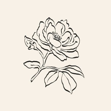 Botanik çizimi. Minimum bitki logosu, botanik çizim çizimi, çayır yeşilliği, yaprak ve çiçek açan soyut çizim elemanları koleksiyonu, köy dalı. Moda küçük dövme tasarımı, çiçek elementleri vektör illüstrasyonu