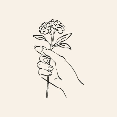 Botanik çizimi. Minimum bitki logosu, botanik çizim çizimi, çayır yeşilliği, yaprak ve çiçek açan soyut çizim elemanları koleksiyonu, köy dalı. Moda küçük dövme tasarımı, çiçek elementleri vektör illüstrasyonu