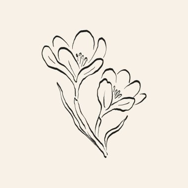 Botanik çizimi. Minimum bitki logosu, botanik çizim çizimi, çayır yeşilliği, yaprak ve çiçek açan soyut çizim elemanları koleksiyonu, köy dalı. Moda küçük dövme tasarımı, çiçek elementleri vektör illüstrasyonu