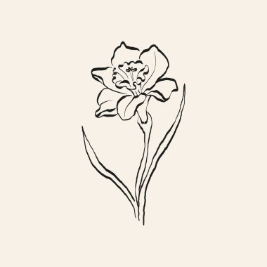 Botanik çizimi. Minimum bitki logosu, botanik çizim çizimi, çayır yeşilliği, yaprak ve çiçek açan soyut çizim elemanları koleksiyonu, köy dalı. Moda küçük dövme tasarımı, çiçek elementleri vektör illüstrasyonu