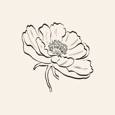 Botanik çizimi. Minimum bitki logosu, botanik çizim çizimi, çayır yeşilliği, yaprak ve çiçek açan soyut çizim elemanları koleksiyonu, köy dalı. Moda küçük dövme tasarımı, çiçek elementleri vektör illüstrasyonu