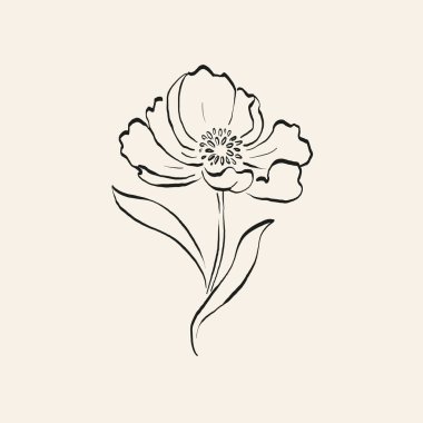 Botanik çizimi. Minimum bitki logosu, botanik çizim çizimi, çayır yeşilliği, yaprak ve çiçek açan soyut çizim elemanları koleksiyonu, köy dalı. Moda küçük dövme tasarımı, çiçek elementleri vektör illüstrasyonu