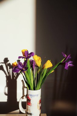 Renkli nergis ler ve irises.