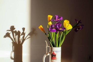 Renkli nergis ler ve irises.