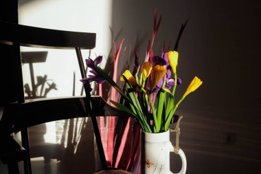 Renkli nergis ler ve irises.