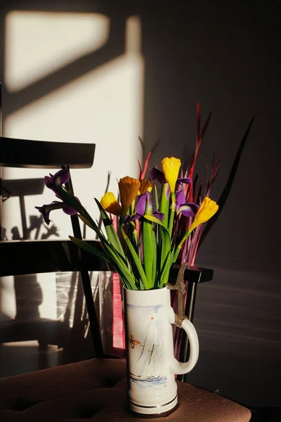 컬러풀한 수선화와 붓꽃. — 스톡 사진