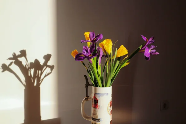 Les jonquilles et les iris colorés . — Photo