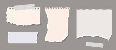 Notlar, mesajlar, bantlı yapışkan çarşaflar için yırtık kağıt kağıtlar. Not defterleri ve bilgi panoları konsept şablonu not defteri sayfasına not için şablon, yırtık kağıt parçası Vektör kare astarlı kağıt