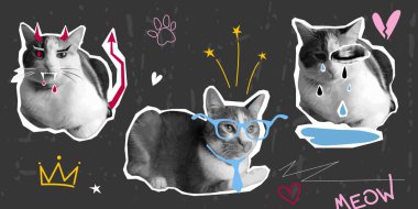 Kolaj ve çıkartma için farklı pozlarda şirin kediler. Yarım ton desenli komik kedi karakterleri, karalama elementli noktalı pop tarzı. Ağlayan, kötü ve zeki kediler. Grunge punk delisi