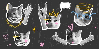 Yarım tonluk el hareketleriyle yapıştırılmış kedi etiketleri. Kolaj için evcil hayvan portreleri, noktalı pop tarzı dijital sanat. Komik kedicik karakterleriyle moda kolaj seti. Modern tasarım için Grunge çıkartmaları