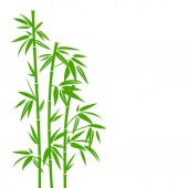 handgezeichnete grüne Bambuspflanze senkrecht im quadratischen Hintergrund
