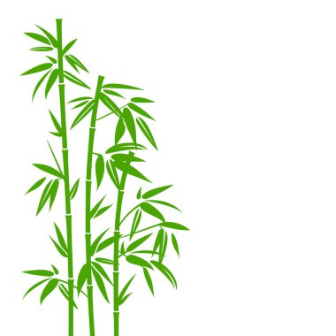 Handdrawn Green Bamboo Plant Vertical In Square Background clipart