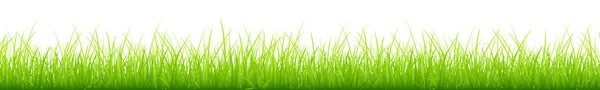 Gráfico Green Meadow Diferentes Alturas Bandeira Horizontal Longa — Vetor de Stock