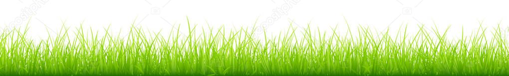 Graphic Green Meadow Different Heights Long Horizontal Banner