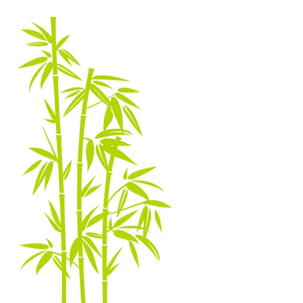 Ręcznie Rysowane Światło Zielone Bambus Roślina Pionowa Kwadratowym Tle — Wektor stockowy