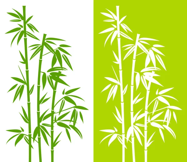 Conjunto Planta Bambú Verde Dibujado Mano Verde Blanco — Vector de stock