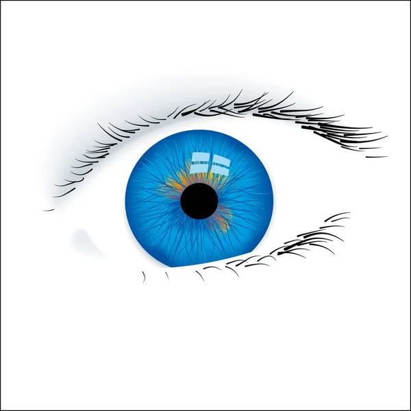 Primer plano de un ojo azul abierto aislado . — Vector de stock