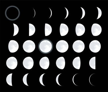 28 different lunar phases. Complete moon satellite cycle. clipart